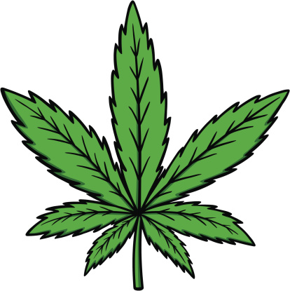 CBD KONOPÍ