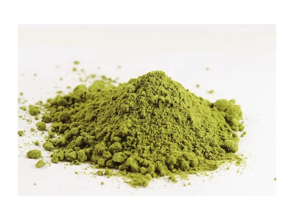 Konopný protein BIO 500g
