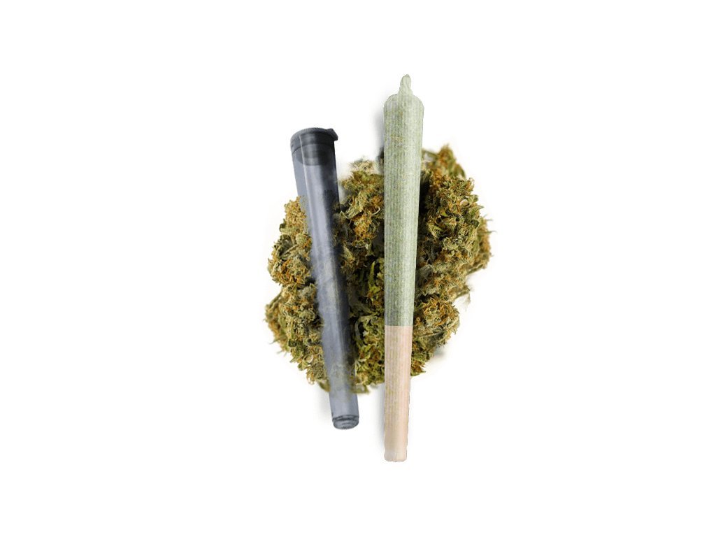 CBD PRE-ROLLS greenhouse joint