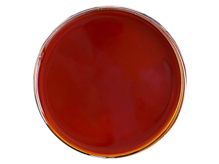 CBD CRD - nekrystalizující destilát 1g